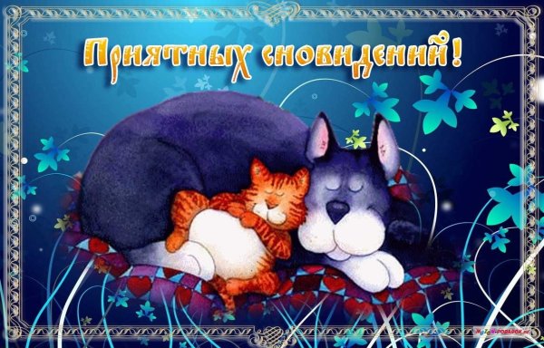 Пожелания спокойной ночи