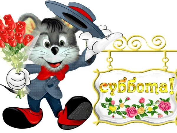 Открытки с субботой прикольные