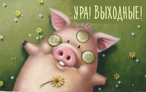 Смешные открытки