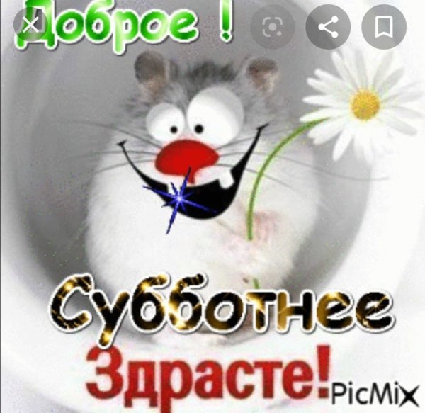 Открытки с добрым утром прикольные
