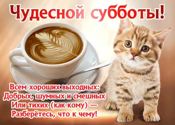 Пожелания с добрым утром прикольные