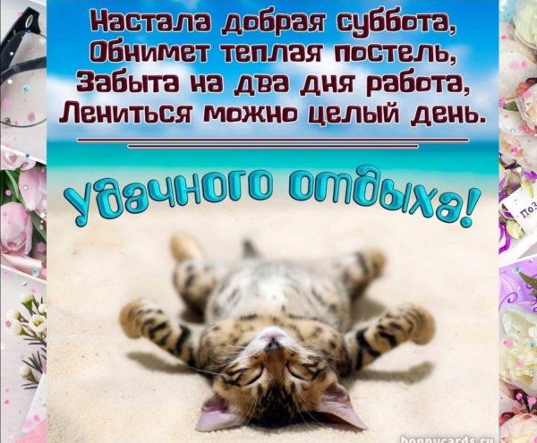 Открытки с добрым утром п