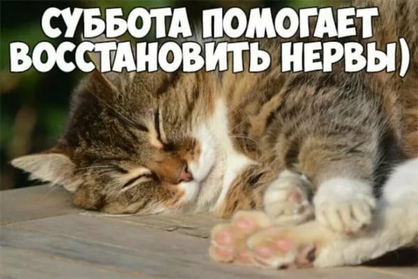 Открытки с субботой прикольные