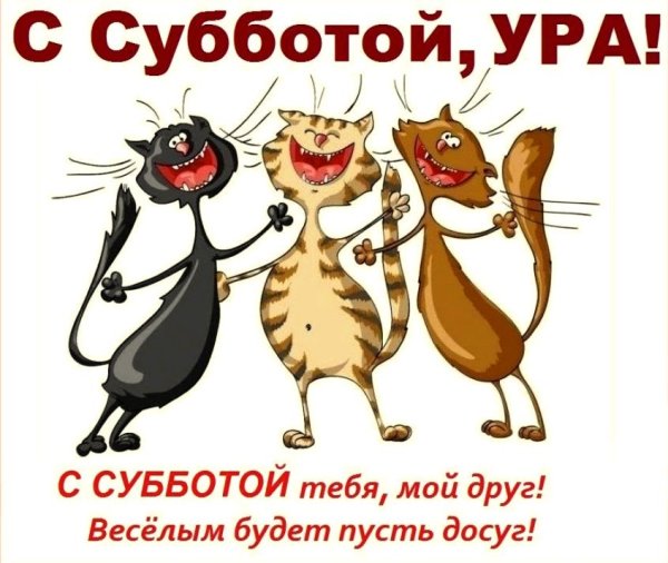 Суббота юмор