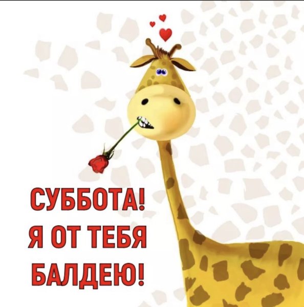 Открытки с добрым утром прикольные