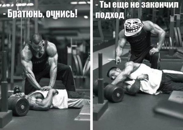 Приколы про тренировки в зале