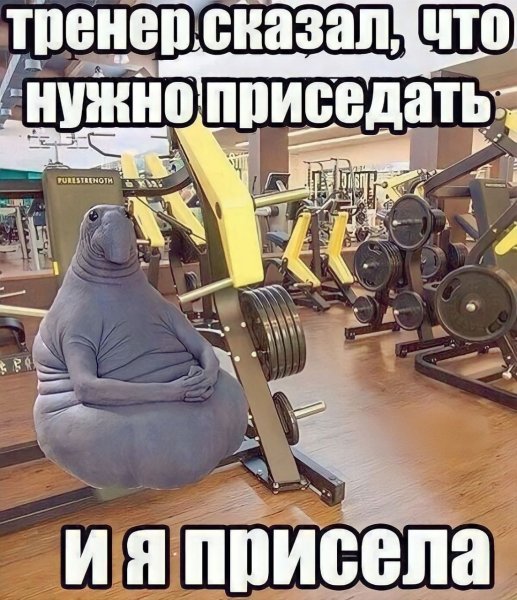 Я В спортзале