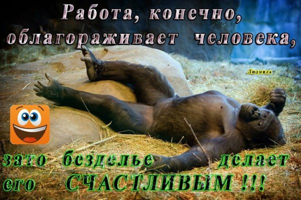 Шуточные поздравления с пятницей