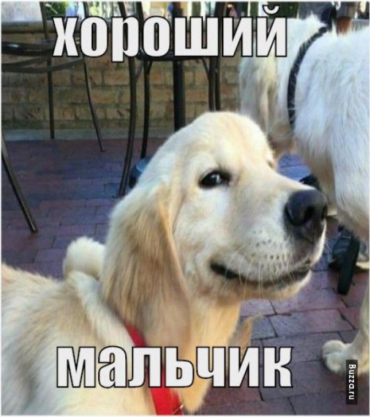 Кто хороший мальчик