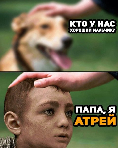 Хороший мальчик пес