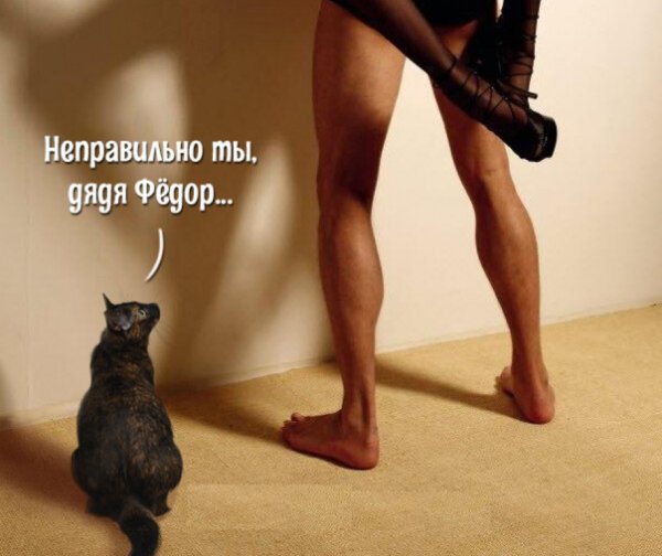 Прикольные картинки с надписями