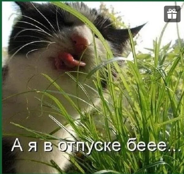 Ура я в отпуске