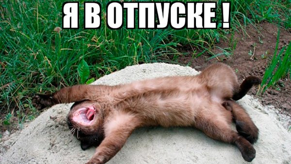 Я В отпуске