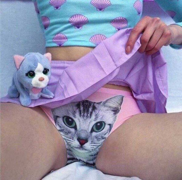 Котик в трусах
