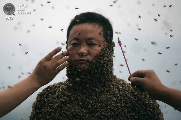 Китайский пчеловод
