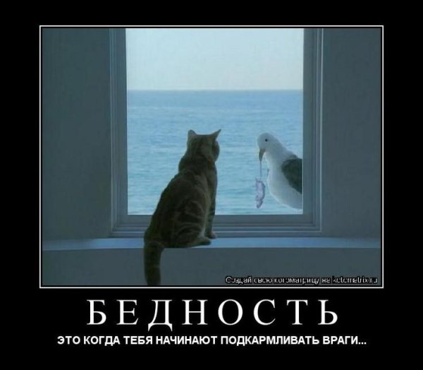 Сижу дома прикол