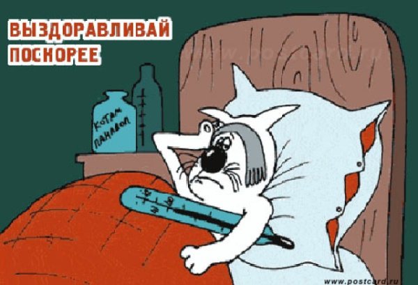 Смешные открытки выздоравливай