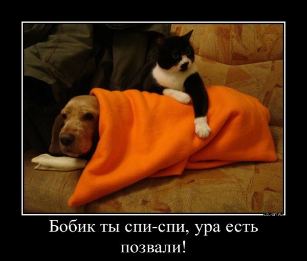Больной друг прикол