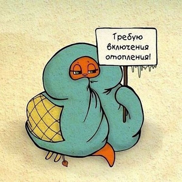 Приколы про холод