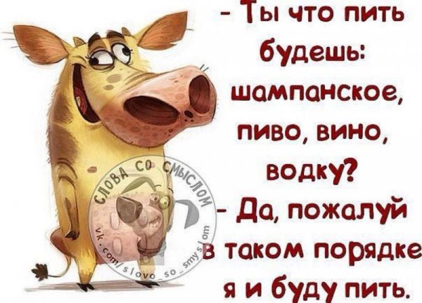 Что пить будем картинки