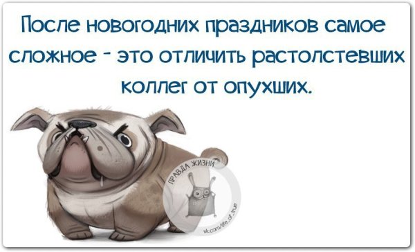 Завтра на работу после новогодних праздников приколы