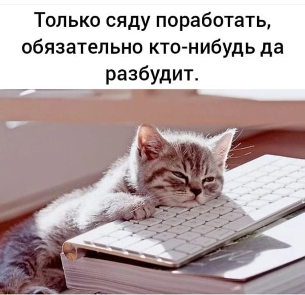 Уставший котик