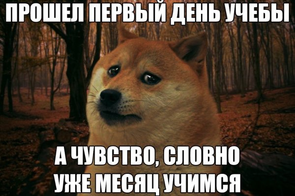 Смешные фото про учебу