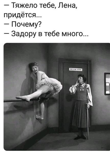 Веселые цитаты