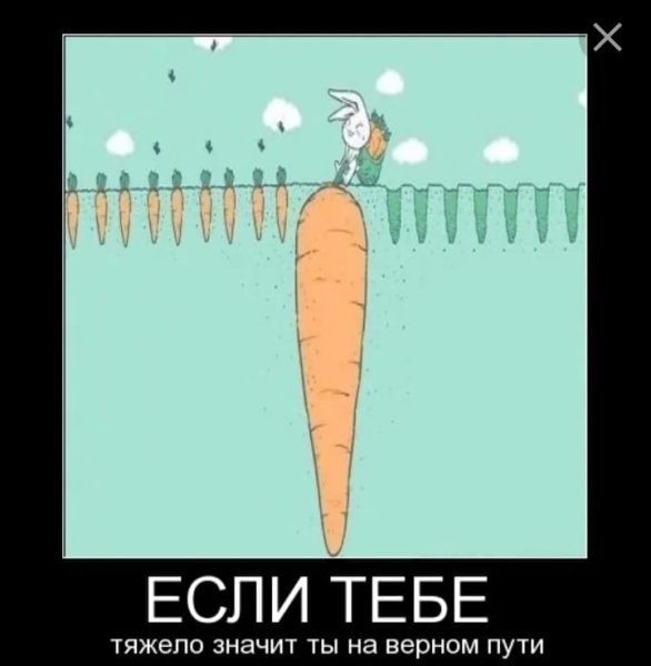 Шутки про морковку