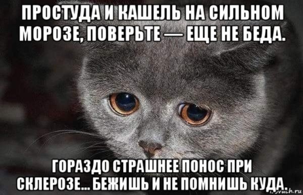 Шутка, что простудилась