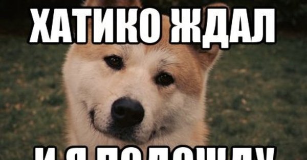 Хатико Мем