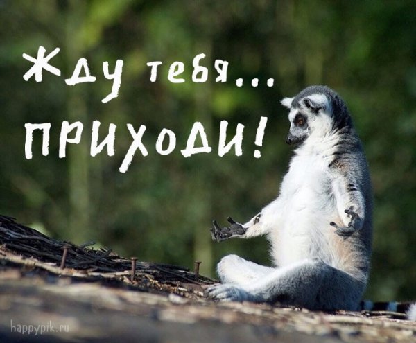 Жду приходи