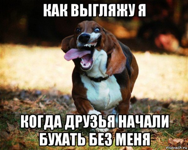 Чую пьют без меня