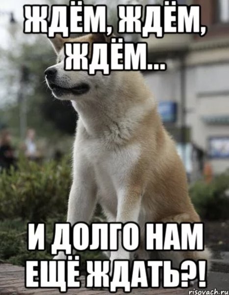 Жду картинки