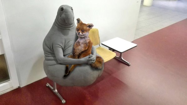 Сижу жду
