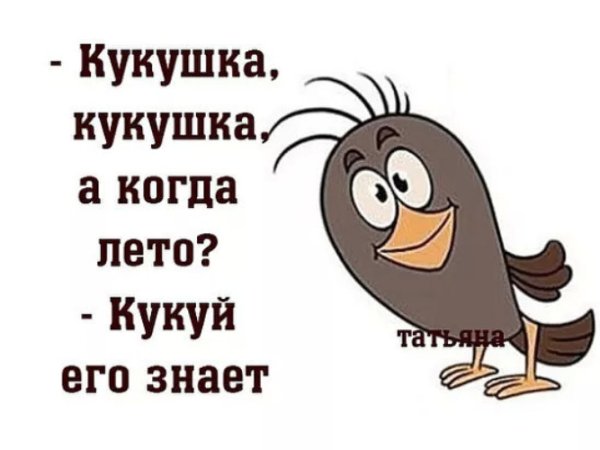 Смешные про Холодное лето