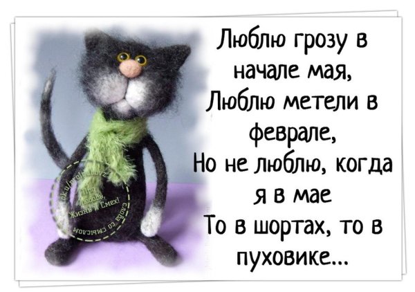 Холодное лето высказывание