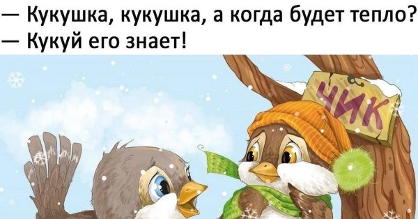 Картинки смешные когда будет тепло