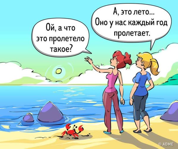 Шутки про лето