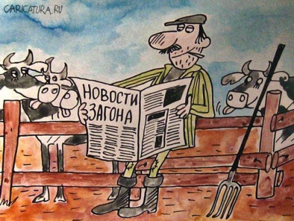 Карикатуры про деревню