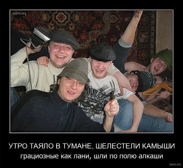 Фото пьяниц и алкашей прикольные