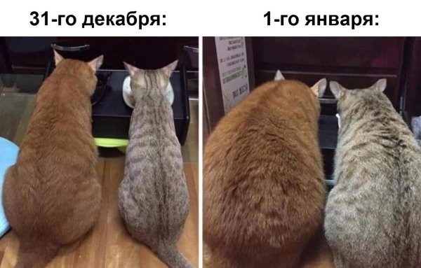 Жиреем вместе