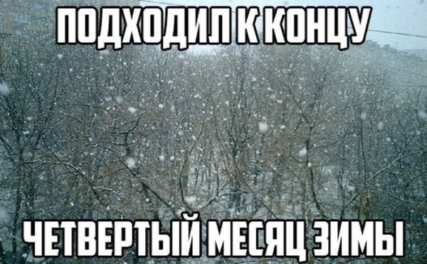 Приколы про зиму и весну