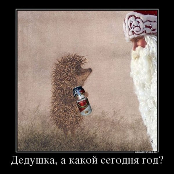 Новый год приколы демотиваторы