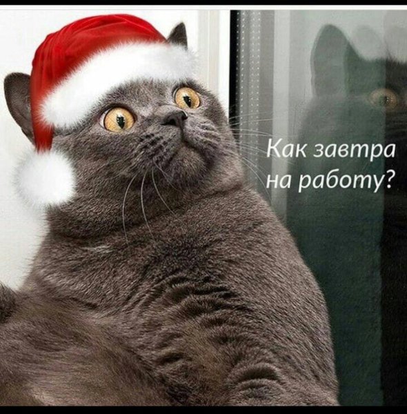 Ну вот и закончились праздники
