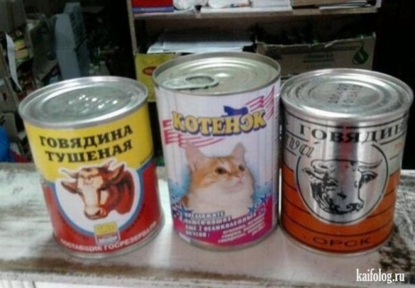Прикольные надписи на консервы