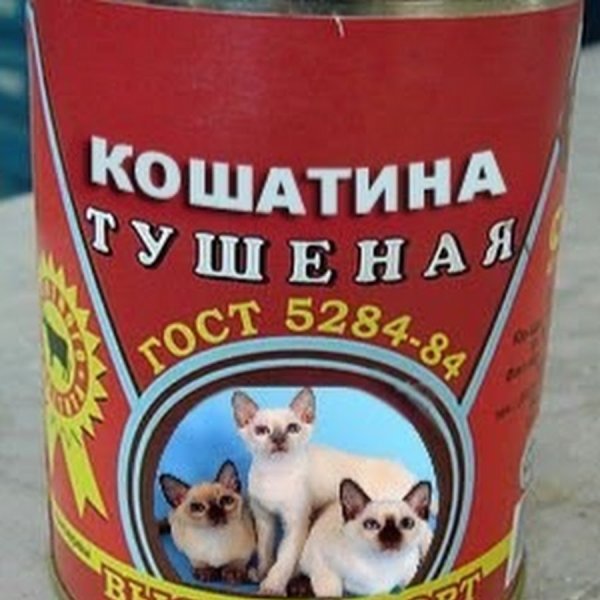 Тушенка из котят