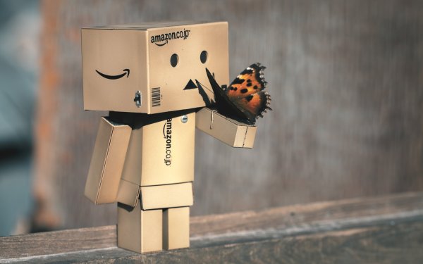 Картонный человечек Danbo