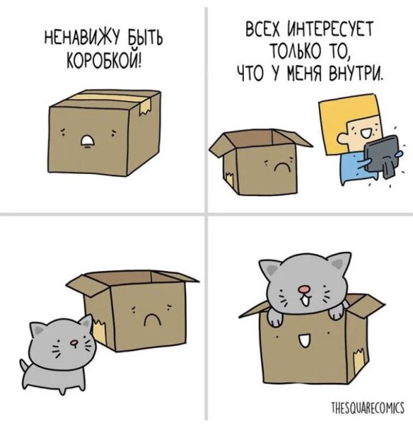 Мемы про котов коробки