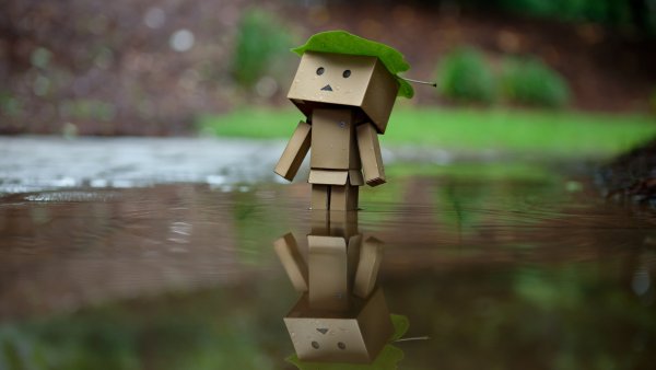 Картонный робот Danbo